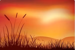 Dưới con mắt tài hoa của Chu Văn Sơn, hoa lau hiện lên như những người anh hùng thầm lặng giữa đời thường. Ảnh minh họa ITN