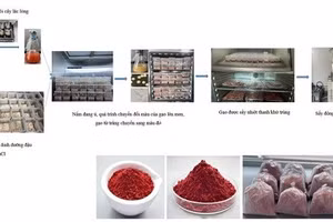 Quy trình sản xuất gạo lên men đỏ.