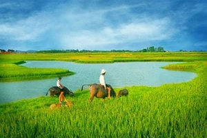 Minh họa/INT.