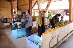 Rác thải chia thành 45 nhóm.