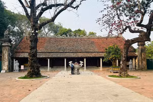 Trải qua hơn 200 năm, Thái miếu đã bị hư hại và được đưa vào trùng tu, tôn tạo.