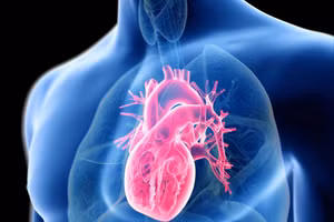 Ung thư tim là hiếm gặp.