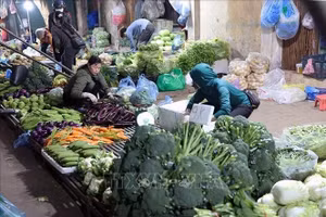 Tiểu thương chuẩn bị nguồn hàng để phục vụ nhu cầu của người dân, ở chợ đầu mối nông sản Nam Hà Nội.