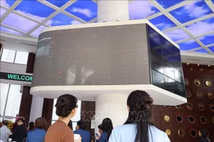 Nhà đầu tư theo dõi diễn biến thị trường cổ phiếu tại sàn HOSE.