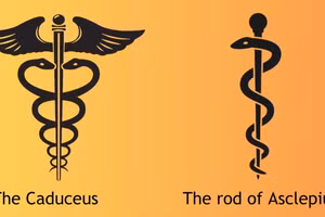 Hình ảnh cây gậy của thần Hermes (trái) và cây gậy của thần y Esculape (phải).