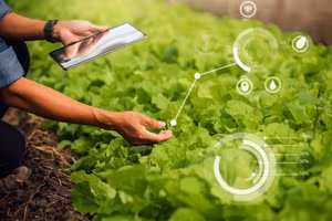 Công nghệ giúp người nông dân tối ưu hóa việc hỗ trợ để cây phát triển tốt hơn.