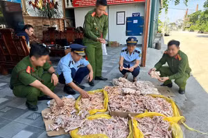 Gần 500kg chân gà, đuôi lợn không chứng minh được nguồn gốc.
