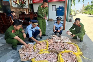 Gần 500kg chân gà, đuôi lợn không chứng minh được nguồn gốc.