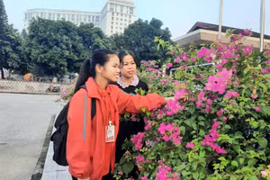 Các con chính là những món quà tuyệt vời nhất. Ảnh: NVCC