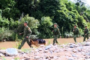 Những bước chân tuần tra biên giới không nghỉ của lực lượng biên phòng.