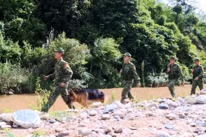 Những bước chân tuần tra biên giới không nghỉ của lực lượng biên phòng.