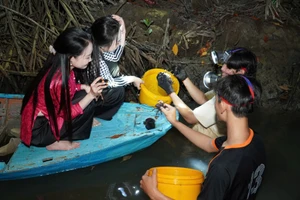 Soi đèn là phương thức được phần lớn người dân Cà Mau sử dụng để bắt ba khía.