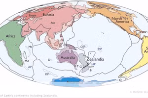 Các lục địa trên thế giới, trong đó có Zealandia