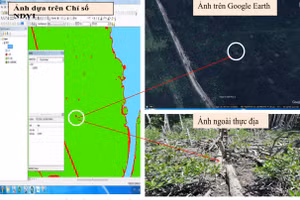 Đối chiếu giá trị chỉ số NDVI với ảnh Google Earth và ảnh thực địa.