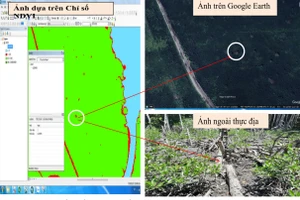 Đối chiếu giá trị chỉ số NDVI với ảnh Google Earth và ảnh thực địa.