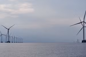 Một dự án điện gió đã đưa vào vận hành trên địa bàn tỉnh Cà Mau. Ảnh: Q.M