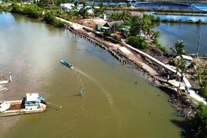 Một tuyến lộ giao thông nông thôn trên địa bàn xã Việt Thắng, huyện Phú Tân, Cà Mau bị sạt lở.