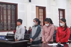 Các bị cáo giúp sức cho Nguyễn Thành Công tại phiên tòa sơ thẩm. Ảnh: Phạm Tâm