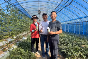 Chế phẩm được nông dân Hàn Quốc dùng cho dưa lưới và dưa hấu.