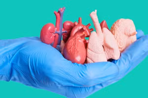 Ý tưởng thay tạng giúp con người chống lão hóa.