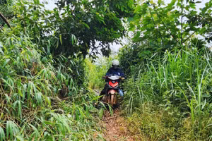 Thầy, cô giáo Nậm Lạn, xã Mường Lạn (Sốp Cộp, Sơn La) vượt đường gồ ghề bám bản dạy chữ. Ảnh: Hà Hoàng