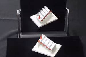 Tác phẩm của Sugihara thường khiến người xem bối rối vì không thể xác định được hình dạng thật của vật thể. Ảnh: BTC.