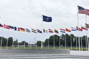Minh họa/INT