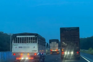 Nhiều ý kiến ủng hộ việc thí điểm cấm các xe tải, xe khách chạy ở làn sát dải phân cách trên cao tốc. Ảnh minh họa: INT