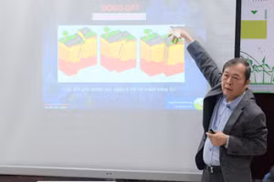 TS Nguyễn Hồng Phương. Ảnh: NVCC 