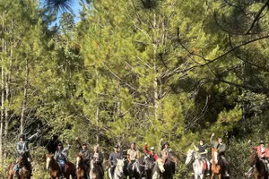 Du khách thích thú trải nghiệm cưỡi ngựa ở Đà Lạt.