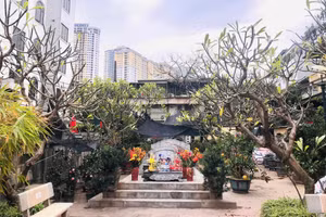 Lăng mộ Tiến sĩ Nguyễn Trọng Hợp.