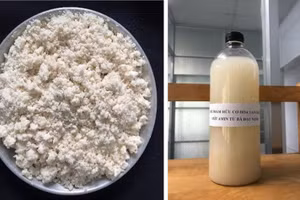 Mẫu bã đậu nành được chọn làm nguyên liệu đầu vào (trái) và chế phẩm hữu cơ đã được đóng chai.