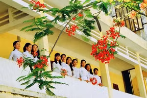 Mùa phượng vĩ đã xa, Lê Thị Hằng, hoa phượng vĩ, tuổi học trò, hoài niệm, ký ức tuổi hoa niên, tình bạn, mùa hè, tản mạn, thanh xuân.
