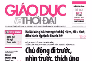 Số 163