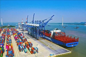Cảng Quốc tế Lạch Huyện, Hải Phòng. Ảnh tư liệu: TTXVN
