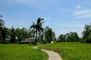 Minh họa/INT