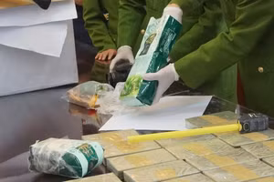 Ma túy được ngụy trang thành các hộp trà, gói cà phê mang đi tiêu thụ. Ảnh: Công an Thanh Hóa