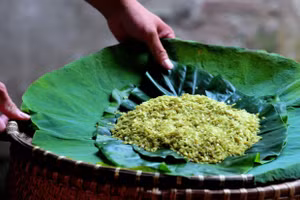 Cốm Làng Vòng được làm từ loại lúa nếp cái hoa vàng và là loại lúa non.