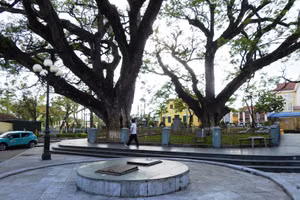 Bên cạnh hai cây lim cổ có hai giếng nước được xây từ thời Pháp, gắn liền với đời sống sinh hoạt của người dân nơi đây nên được gọi là hai cây lim giếng Rừng. Hiện, hai giếng được xây, lát gạch sạch sẽ và có nắp đậy. 