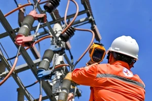 Các chuyên gia cho rằng, cần làm rõ nguyên nhân các khoản lỗ, bảo đảm minh bạch trước khi phân bổ vào giá điện.