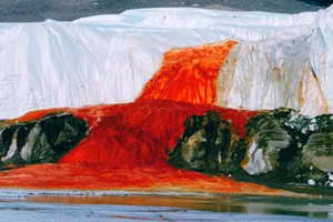 Thác Máu ở Nam Cực.