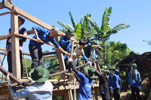 Đoàn viên thanh niên Trường ĐH Bách Khoa - ĐH Đà Nẵng hỗ trợ người dân sửa chữa lại nhà.