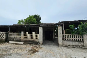 Nhiều hộ dân trong vùng quy hoạch dự án giai đoạn 2, 3 'dài cổ' chờ được tái định cư.
