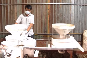 Ông Nguyễn Trung Khánh (thôn 3, xã Ea Kmút, huyện Ea Kar) vận hành máy tách hạt sachi.