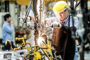 Kinh tế tư nhân đang từng bước phát triển cả về số lượng và chất lượng. Ảnh minh họa: INT