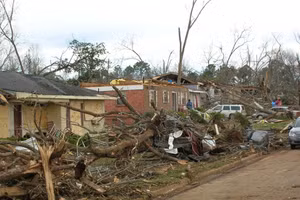 Gió mạnh trong cơn bão gây đổ cây, tốc mái.