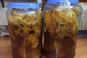 Rượu ngâm sáp ong. Ảnh minh họa