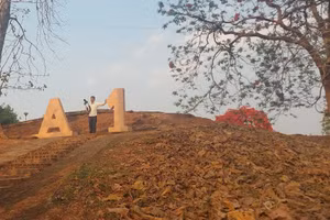 Đồi A1 hôm nay. Ảnh: Bình Thanh