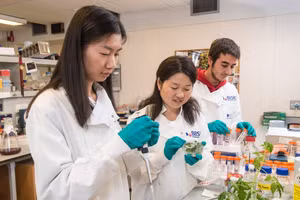 Trung Quốc tăng đầu tư cho nhân lực khoa học trẻ.