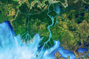 Những bức ảnh thú vị về hành tinh tuyệt đẹp của chúng ta được chụp từ Landsat 8.